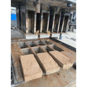 China 650g Cocopeat Block Press Machine with Customized Coir Pitch Hydraulic Block Compress on sale