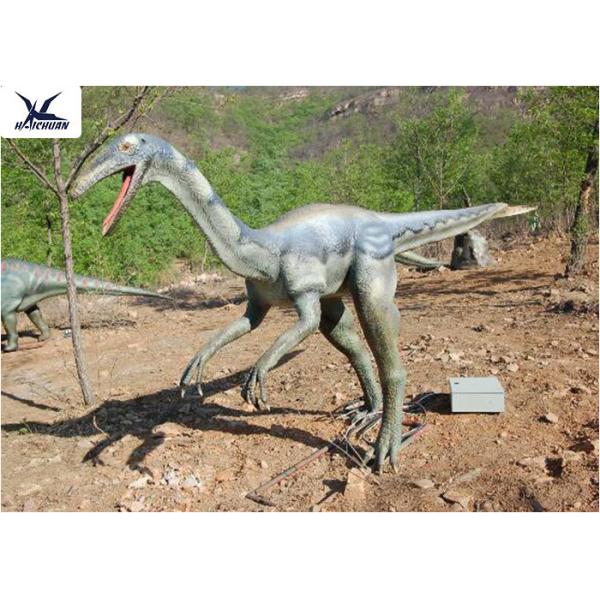 Quality High Simulation Realistic Dinosaur Models For Theme Park / Customizable wholesale