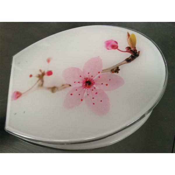 decoration toilet seat,color,polyresin,plastic,solid white,sanitary toilet seat