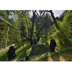 SS 304 Cable Trellis System Reliable With Unique Flexibility And Brightness