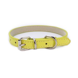 Multi Color Dog Collars And Leashes Different Size With Durable No Pull Buckle