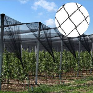 Anti Hail Net Agriculture Mesh HDPE Apple Tree Garden Hail Proof Netting