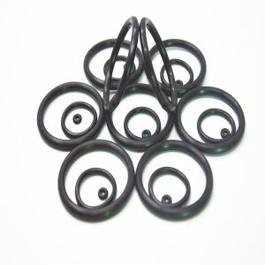 High Precision AEM EPDM NBR Silicone Neoprene Rubber O-Ring Seals with REACH