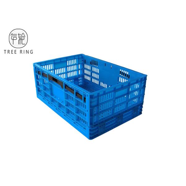 Quality Foldable Collapsible Plastic Crate For Food Industry , Fruit And Vegetable Crates wholesale