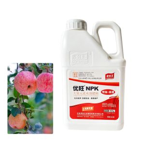 100% Organic Water Soluble Fertilizer OEM ODM 19-19-19+Te NPK Fertilizer