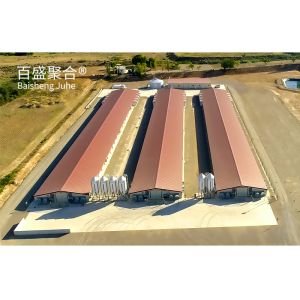 ISO9001 2008/CE/BV Certified Steel Frame Chicken Farm for Open Side Poultry Shed