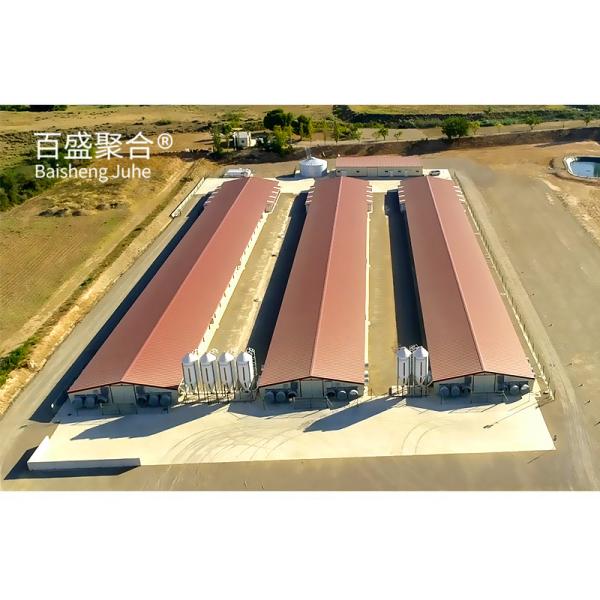 ISO9001 2008/CE/BV Certified Steel Frame Chicken Farm for Open Side Poultry Shed