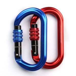 China Camping Hiking Outdoor D Type Carabiner Hook With Screw on sale