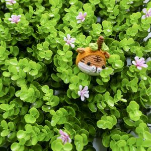 Cheap 100*100 CM Durable Artificial Plant Wall Panel 3D Synthetic Landscape For Indoor for sale