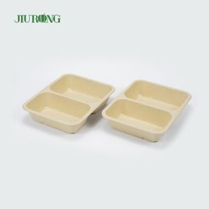 Disposable Biodegradable Sugarcane Clamshell Food Container 3 Compartment
