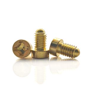 Plain Finish Brass Cross Recessed Special Screw Customized With Non Standard