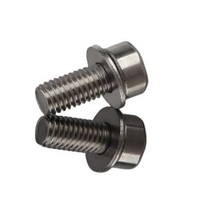 Din SUS304 Stainless Steel A2 Torx Socket Cup Head Seas Torx Machine Screw