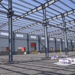 Custom Exactly As Demands Steel Structure Building Versatile Customized