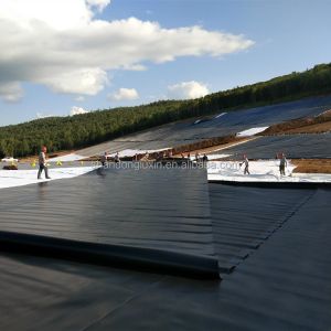 HDPE Geomembrane Dam Liner with Industrial Design Style and Double Texture Surface