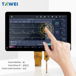 10.1 Inch TFT LCD Module 1024*600 RGB Interface All Viewing Angle Ips Touch