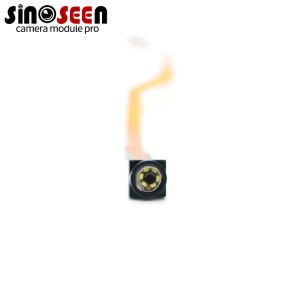 0.3MP MIPI Interface Endoscope Camera Module For Portable Visual Dental Scaler