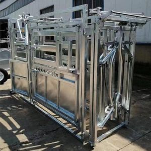 Customized Galvanized Steel Heave Duty Cattle Crush Easy Assembly