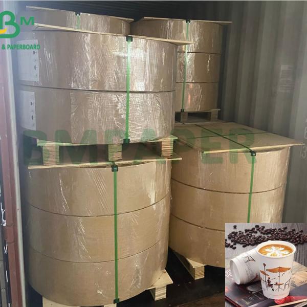 Quality 200g Waterproof Customized PE Coated White Cup Paper Raw Material wholesale