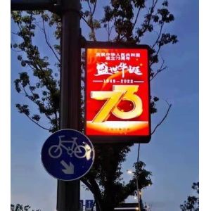 P3 Light Pole LED Display IP65 192*192mm Module Size Digital Energy Efficient