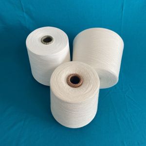 30S/2 Thread O/E 300D Knitting Core White Viscose Filament Rayon Yarn 60S R30S/1