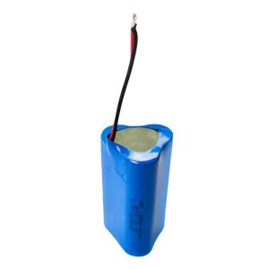 3.7V 2200mAh 18650 custom li ion battery within 1C Rate
