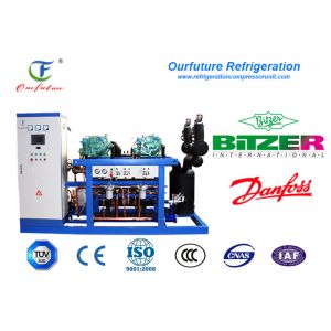 Fresh Beef Cooling Storage R404a Brand Screw Type Parallel Compressor Racks