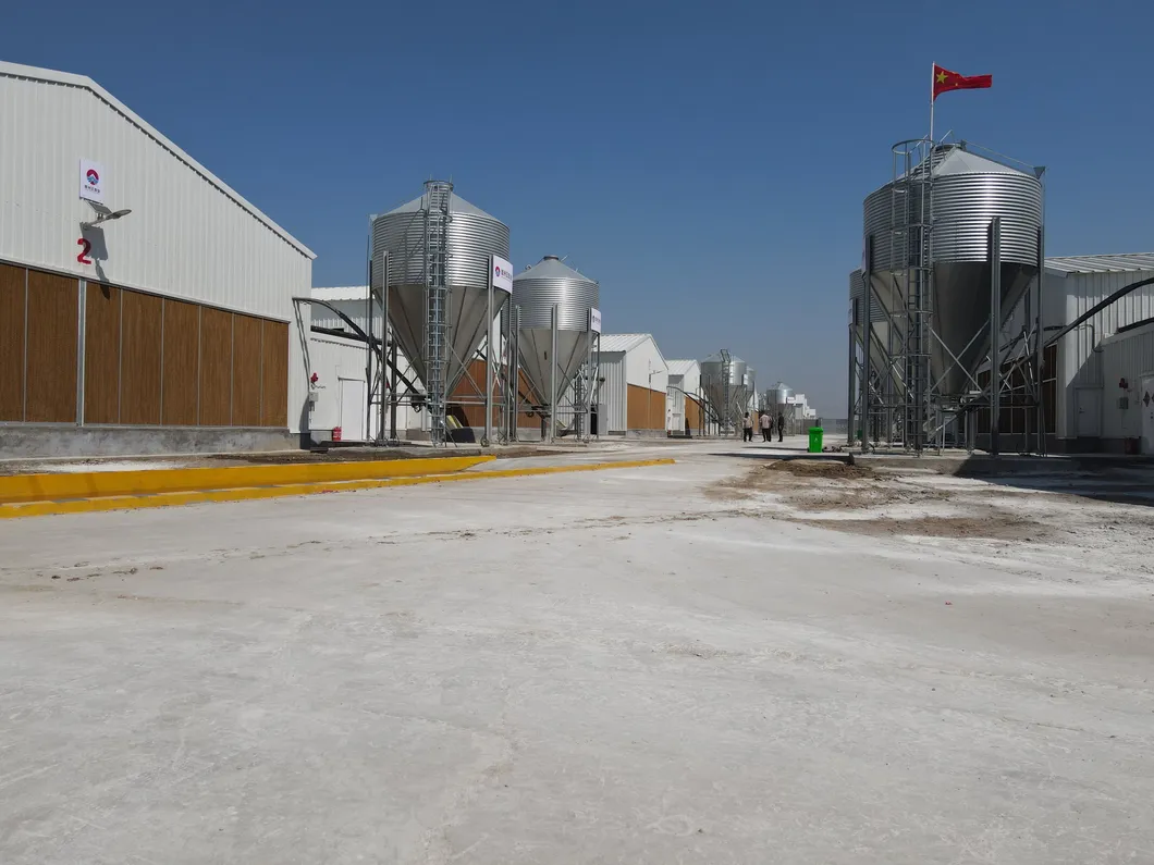 Hot Dip Galvanized Metal Steel Broiler Layer Poultry House With Automatic Brooding Equipment