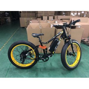 1000 Watt Mountain Full Suspension Ebike 48V Lithium Ion Battery RICH BIT 890