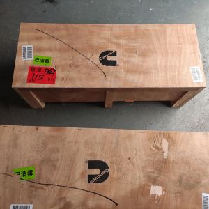 CCEC ISM11 Cummins Diesel Engine Cylinder Head Construction 2864016