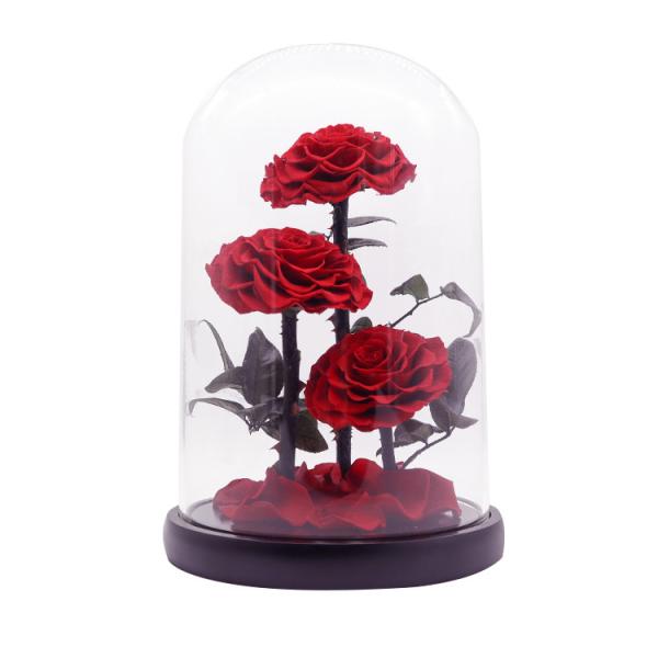 Quality Real Touch Eternal Preserved Rose Glass Dome For Valentines Day Gift wholesale