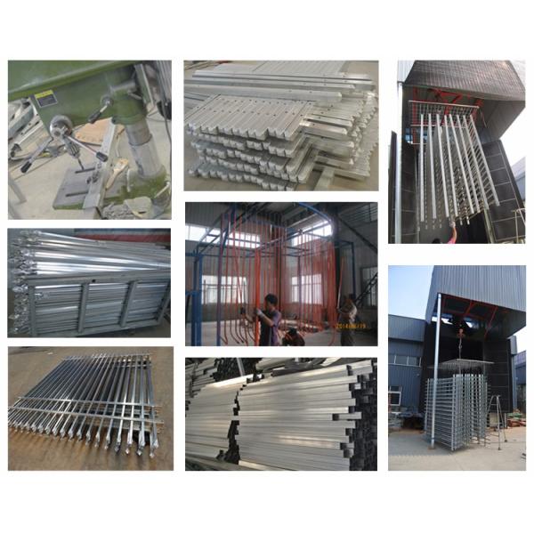 4 rails narrow spacing stright top crimped top crimped 1800mm x 2400mm anti wild beast dog and wolf security steel fence