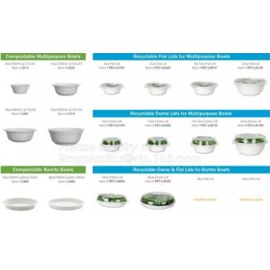 disposable takeaway bento to go box compostable food packaging sugarcane bagasse