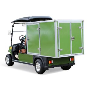 CE Approved 2 Seaters 48V High-Speed Golf Buggy Electric Cart with Cargo Box