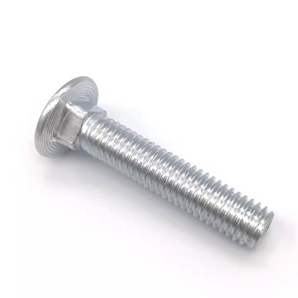 18-8 Stainless Steel Chrome Plated Carriage Bolt SS SUS 304 316 316L A2 A4 70 80 DIN603