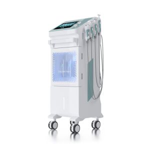 Customized Vertical 9 In 1 Facial Oxygen Hydro Dermabrasion Machine For Skin