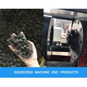 PP PE Plastic Recycling Machine Film Squeezing Dewatering Dryer And Pelletizing Machine