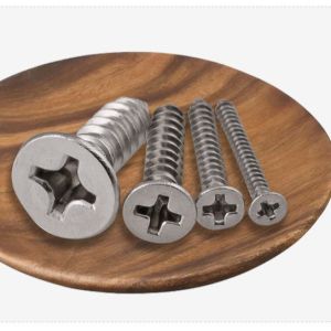 ANSI/ASME Standard SS304 SS316 Stainless Steel Self Tapping Deck Screw DIN7982