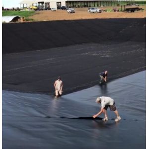 Reservoir Engineering Plastik Geomembrane Geosynthetic HDPE Liner Cost Per M2