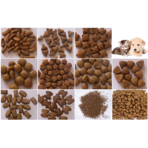 Siemens PLC Control Pet Food Making Machine For Dog Cat SS Material