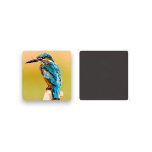 9 x 9cm Lenticular Printing Services Flowers & Birds 3d Lenticular Coasters With