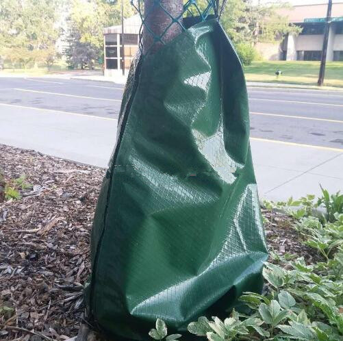 Quality 15 Gallons Slow Release Watering Bag For Tree Dip Irregation PVC Material Self Watering Tree Bags wholesale