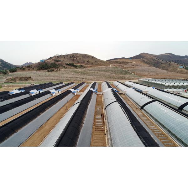 Quality 100% Polypropylene Advanced Technology Dustproof Pest Control Cheap Practical Nonwoven Fabrics For Agricultrual wholesale