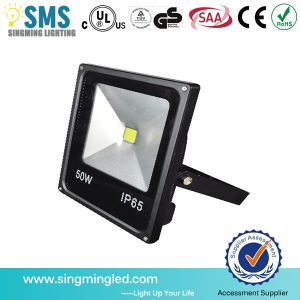 Hot Sale High Lumen LED Waterproof Floodlight With High Pressure CE EMC ROHS
