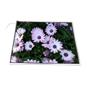 Cheap LTM15C503F 15.0 inch 1024*768 TFT LCD Screen Display for sale