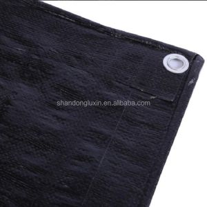 Coated Woven Pattern Polyethylene Tarpaulin for Moisture-proof and Dustproof