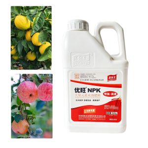 100% Organic Water Soluble Fertilizer OEM ODM 19-19-19+Te NPK Fertilizer