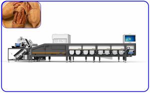 Cheap Accurate Peanut Grading Sorting Machine 0.8 - 1.2 T/H 8 Channel for sale