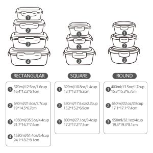 High Borosilicate Glass Food Container with 2-Lock PP Lid