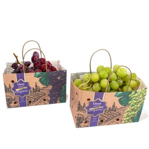 China Sustainable Fruit Paper Bags With Customized Carry Weight And OEM Printing on sale