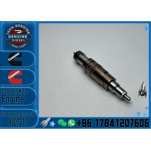 4307217 Common Rail Auto Parts 4307217 Diesel Fuel Injector 4307217 for SCANIA